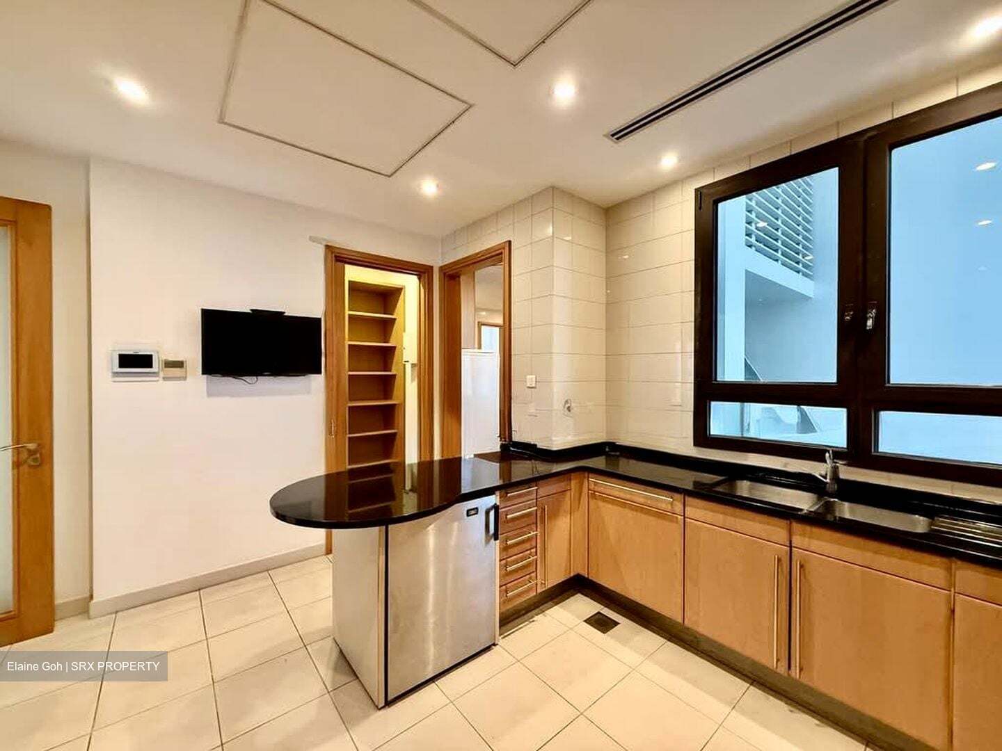 Ardmore Park (D10), Condominium #555344211